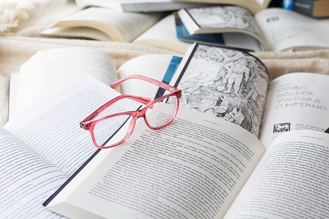 sopocka-2025-05-sopocka_studia-podyplomowe-kadry-i-place_9_1-Werka sopocka-2025-05 - sopocka_studia podyplomowe kadry i płace_9_1 - Werka.jpg